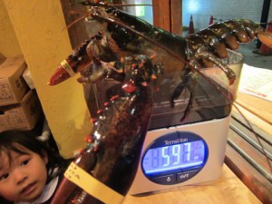 IMG_6828