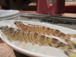 IMG_6830