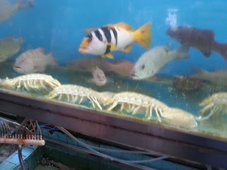 IMG_20121129_143637